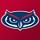 Florida Atlantic University